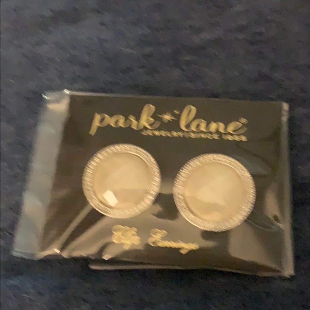Jewels by parkland clip earrings